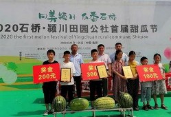 临颍县鼓楼吃瓜,夏日吃瓜盛宴，品味传统与现代交融