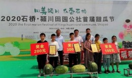 临颍县鼓楼吃瓜,夏日吃瓜盛宴，品味传统与现代交融