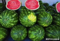 常德沙瓜怎么吃