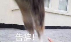 在场吃瓜群众,吃瓜群众的热议瞬间