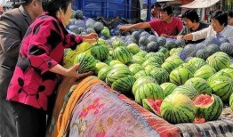 上门吃瓜,揭秘娱乐圈背后的故事与真相