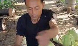 趴哥吃瓜,揭秘娱乐圈那些不为人知的幕后故事