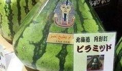 可爱中国吃瓜群众视频,跟随可爱中国吃瓜群众，一起品味生活百态