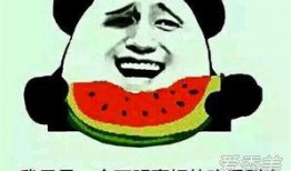 吃瓜人吃瓜魂意思,揭秘网络热议背后的真相与趣味