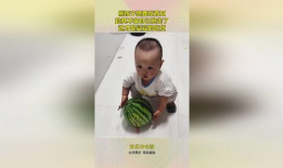 吃瓜的熊孩子,揭秘校园里的欢乐时光