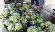 绍兴大汉吃瓜事件,一场网络热议的街头奇观