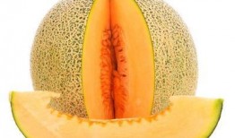 来m吃哈密瓜,探寻来m吃哈密瓜的独特魅力