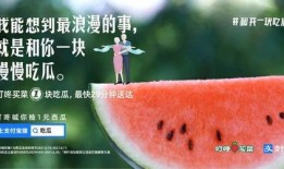 上门吃瓜,揭秘娱乐圈背后的故事与真相