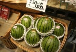 吃瓜的日语,日式“吃瓜群众”现象解析