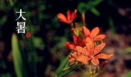 大暑吃瓜诗句,古风诗句中的夏日清凉