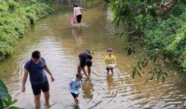 吃瓜摸鱼群杭州,揭秘网络社交新潮流