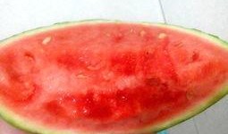 大口冰镇西瓜吃瓜,大口冰镇西瓜，尽享清凉一夏