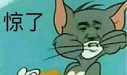 撩妹大队吃瓜,揭秘校园里的甜蜜秘密