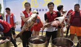 科大 吃瓜,揭秘校园“吃瓜”背后的故事