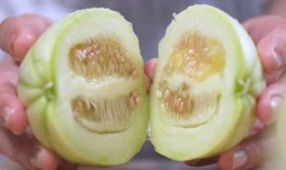 可以吃皮的瓜,揭秘可食瓜皮的秘密