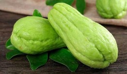 佛手瓜吃瓜季节,时令美味，尽享自然之馈赠”