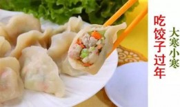 吃瓜猫饺子,揭秘这款独特美食的诞生与魅力