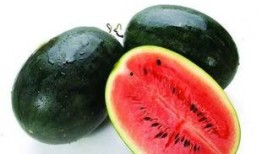 郑燕姿瓜在哪吃,探寻最佳食用之地