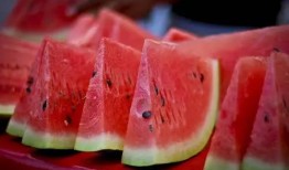 发现八卦除了吃瓜,探寻吃瓜之外的智慧奥秘