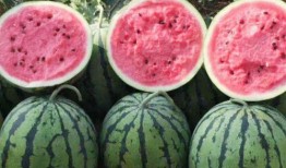 梦里买瓜吃瓜什么预兆,预示着什么美好未来？