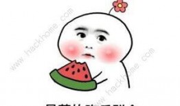 吃瓜的抖音,带你领略短视频世界的趣味瞬间