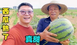 刘大瓜吃马鞭,一场意外的美食冒险