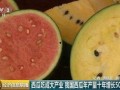 可爱中国吃瓜群众视频,跟随可爱中国吃瓜群众，一起品味生活百态