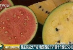 可爱中国吃瓜群众视频,跟随可爱中国吃瓜群众，一起品味生活百态