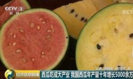 可爱中国吃瓜群众视频,跟随可爱中国吃瓜群众，一起品味生活百态