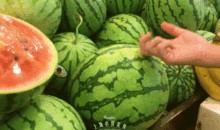 阿拉吃瓜,揭秘娱乐圈那些不为人知的幕后故事