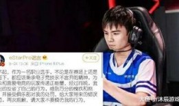 诺言直播吃瓜,瓜果飘香引网友热议