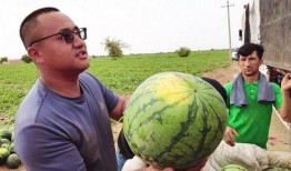 吃瓜头领,网络红人的崛起与影响力