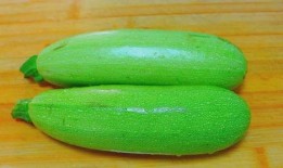 冬瓜吃瓜视频,趣味横生的瓜界奇遇记