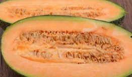 术后可以吃哈密瓜吗,哈密瓜在恢复期的适宜摄入