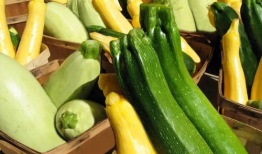 闽师专专吃瓜,揭秘校园里的“吃瓜”文化现象