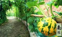 吃瓜摸鱼群杭州,揭秘网络社交新潮流