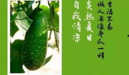 金石吃瓜,揭秘娱乐圈幕后故事