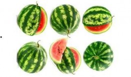 吃瓜群众吃玉米是真的吗,吃瓜群众吃玉米，真相大揭秘！