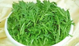 茼蒿妈儿子吃瓜,揭秘家庭欢乐日常