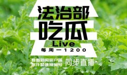 案件聚焦吃瓜,吃瓜群众揭秘幕后真相