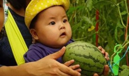 行走吃瓜群,揭秘网络社交新潮流