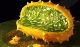 吃货角瓜,角瓜的独特风味与烹饪秘籍