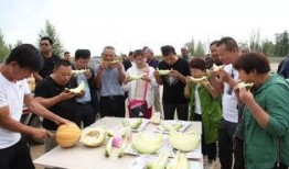 吃瓜老汉甘肃,吃瓜老汉的瓜田生活