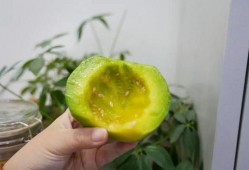 隐藏吃瓜,隐藏吃瓜背后的真相与内幕