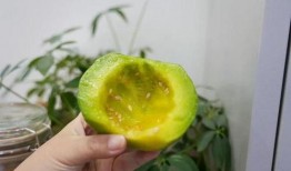 隐藏吃瓜,隐藏吃瓜背后的真相与内幕