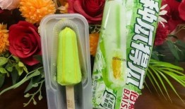 吃瓜 冰淇淋,吃瓜配冰淇淋，清凉一夏！