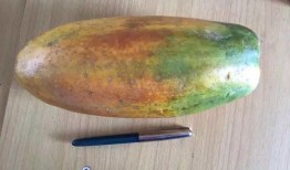 吃瓜的随笔,揭秘娱乐圈背后的故事