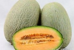 来m吃哈密瓜,探寻来m吃哈密瓜的独特魅力