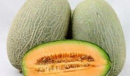 来m吃哈密瓜,探寻来m吃哈密瓜的独特魅力