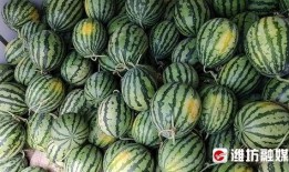 中行原油宝吃瓜后续